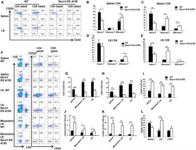 Differential Requirement of Beclin 1 for Regulating the Balance of Naïve and Activated CD4+ T Cells